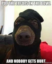 Pin By Victoria Danilova On Halloween Funny Animal Jokes Funny Dog Memes Funny Animal Quotes