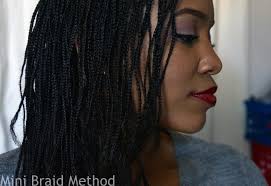 My Mini Braids Feb 2015 Long Natural Hair Natural Hair Styles Natural Hair Braids