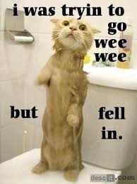 Feb 10, 2021 · positive friday quotes to inspire you. Animals With Quotes About Tuesday Quotesgram