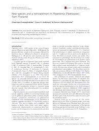 Image result for Peperomia fernandopoiana