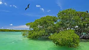 If you're planning to drive yourself, expect to pay an entrance fee of 37 pesos (which does not cover any of the offered tours inside the reserve). Sian Ka An Mexiko Magic Blue Planet