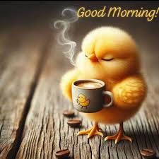 Hope everyone had a wonderful day. Wishing you a peaceful evening and a  wonderful blessed restful night.🌙🌗❤️