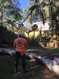 Check spelling or type a new query. All Aspects Tree Services Qld Home Facebook