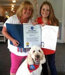 Mini & standard goldendoodles available! Goldendoodle Puppies For Sale Massachusetts American Goldendoodle