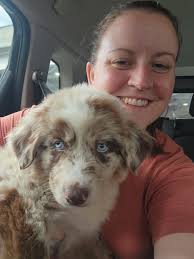 Positive experience with Australian Shepherd puppy adoption