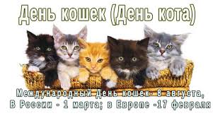 Olga 💕(@olgad073), @olgas(@olgas01560), kaktus(@salararosa), user2718111855766(@evgen_034), абисимба(@abisimbec). Den Koshek Den Kota Kak Otmechayut V Raznyh Stranah Interesnye Fakty O Koshkah Juicyworld