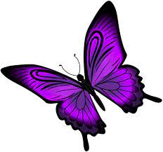 Purple Butterfly Png Clip Art Butterfly Clip Art Purple Butterfly Wallpaper Butterfly Pictures