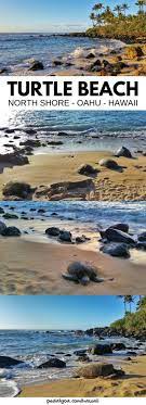 North Shore Laniakea Beach Where To See Turtles On Oahu On Hawaii Vacation Turtle Beach At Sunset Is One Of Th Oahu Beaches North Shore Oahu Hawaii Vacation