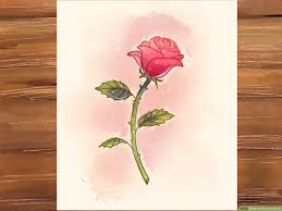 See more ideas about drawings, botanical art, botanical illustration. 3 Ways To Draw A Rose Wikihow