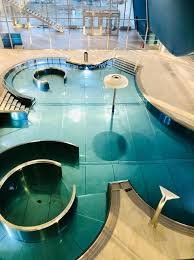 Pss Discussion Valenciennes Piscine