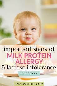 A child might be fussy if you or your child has a milk allergy, dairy products can trigger your allergies by activating your immune system. Signs Of Toddler Milk Protein Allergy Or Lactose Intolerance