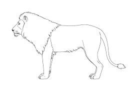 Note the contours of the brow, muzzle, and cheek, as well as the tuft of fur near the neck. How To Draw A Lion Full Body Step By Step Easydrawingtips