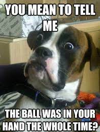 25 Funny Dog Memes Part 2 Dogtime Funny Dog Pictures Funny Dog Memes Funny Animal Pictures
