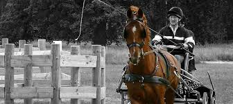 Hotels near muckross house, gardens & traditional farms. Carriagehouse Insurance Home