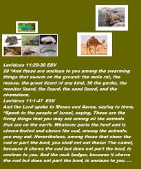 Leviticus 11 29 30 Esv 29 And These Are Unclean To You Among The Swarming Things That Swarm On The Ground The Mole Rat Mole Rat Sand Lizard Monitor Lizard
