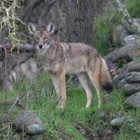 Treasure Hunt medallion found; more top stories (Good Morning CNY for Feb.  17)