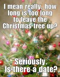 Ha Ha Took Mine Down The Day After Christmas Quotes Funny Christmas Humor Christmas Quotes