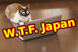 They were standing on the waste ground (=land in a town that is not being used) behind the car park. W T F Japan Top 5 Confusing Japanese Internet Slang Words Weird Top Five Soranews24 Japan News