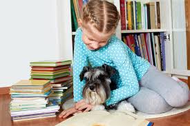 I walked in feeling good about myself. Petsmart Becomes First National Pet Specialty Retailer To Launch Dog Therapy Training Business Wire