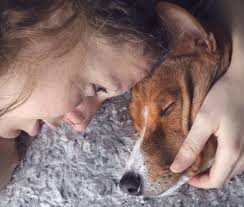 Do you get your pets ashes back. How Much Does Dog Cremation Cost And What Are My Options