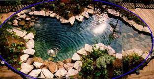 The existing chemical treatment equipment is replaced with a biological foam and phosphate absorbing filters. Can You Convert A Traditional Pool Into A Natural Swimming Pool Total Habitat
