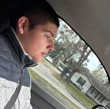 Power steering pump whine and air bubbles in reservoir. What to check  before replacement?