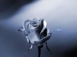 Custom photo wallpapers for walls 3 d mural wallpaper fantasy blue jewelry rose flower tv background wall papers for living room. Love 3d Color Nature Fantasy Rose Flowers Funny Other Hd Wallpaper Peakpx