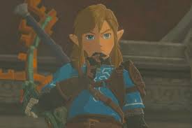 Zelda tears of the kingdom champion's tunic