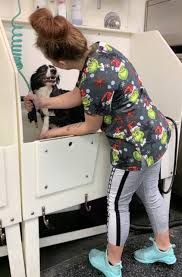 Check spelling or type a new query. Home Happy Tails