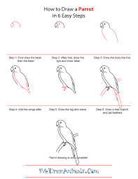 Next draw the small eye near the top line of the snout. How To Draw Tropical Rainforest Animals Step By Step Learn How To Draw