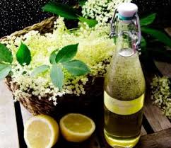 Holunderblutensirup Selbst Herstellen Rezept Holunderblutensirup Selber Machen Holunder Sirup