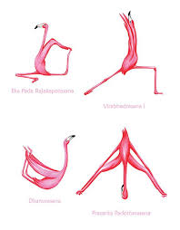 Pink Flamingo Yoga Pose Poster With 25 Asanas 18 X 24 Poster Etsy Yoga Poster Yoga Art Yoga Poses
