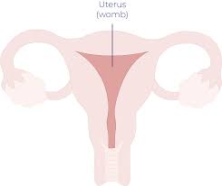 It can look like hemorrhoids, irritable bowel syndrome (ibs), or inflammatory bowel disease (ibd). Uterine Cancer Signs And Symptoms Treatment