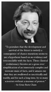 The eye is a complex creation of god