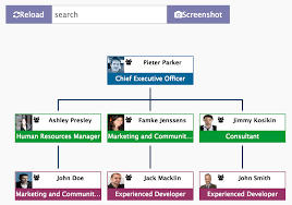 Organization Chart Premium Odoo Apps