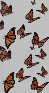 1288 x 2289 animatedgif 4407 кб. Butterfly Wallpaper Lockscreen Aesthetic Trendy Vsco Butterfly Wallpaper Iphone Aesthetic Iphone Wallpaper Iphone Background Wallpaper