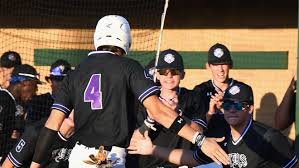 Jacksboro's Kasey Swan and Kyler Swan key part of UIL baseball playoff run