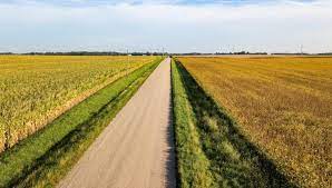 Drivers in illinois often complain about car insurance prices. Best Cheap Car Insurance In Illinois Forbes Advisor