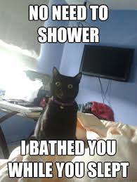 Top 30 Funny Cat Memes Quotes Words Sayings Funny Animal Photos Funny Cat Pictures Funny Animal Memes
