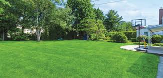 The Garden City News (51923) by Litmor Publishing - Issuu