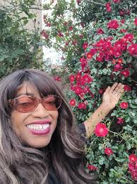 Bakersfield, California back yard view.