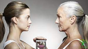 ��������� � ��������