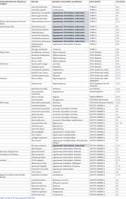 Image result for Englerodendron mengei