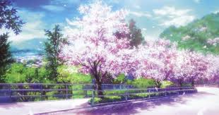 The anime film was announced in japan on december 24, 2012, with the release scheduled for the first half of 2013 and news updates available on its facebook page. Anime Sakura Tree Wallpaper 4k