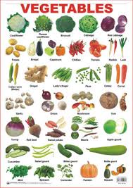 Educational Charts Series Vegetables