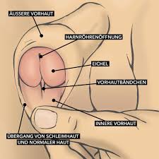 Penis richtig waschen