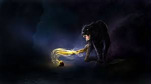 Wild unicorn angry mythical beast fairy tale fantasy animal. Hd Wallpaper Black Cat Teeth Mouth Eyes Dark Angry Wallpaper Flare