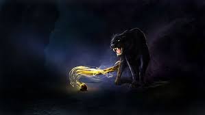 Hd Wallpaper Panther Hd Black Panther Animals Wallpaper Flare We have 73+ amazing background pictures carefully picked by our community.