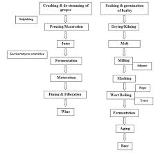 Dt 11 Lesson 24 Scope And Classification Of Beverages