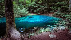 Cascada bigar a fost desemnata locul 1 in topul cascadelor unice in lume de catre the world geography, una dintre cele mai apreciate reviste de geografie. Lacul Ochiul Beiului Cum Arata Lacul Care Nu Ingheata Niciodata